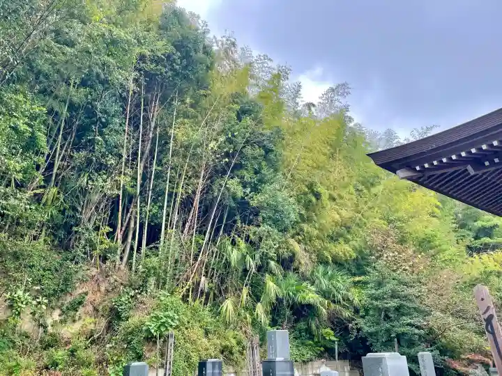正徳寺(千葉県)
