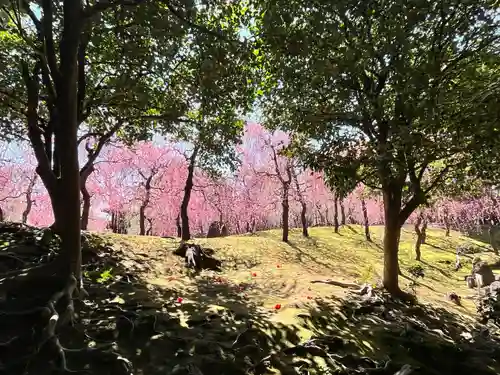 城南宮(京都府)