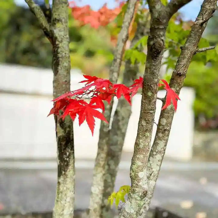 伊勢の国 四天王寺(三重県)