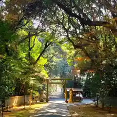 鎌田神明宮の鳥居