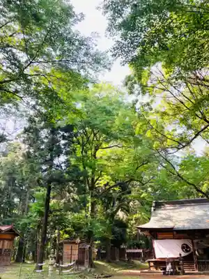 中村八幡宮(栃木県)