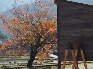 川田八幡神社の自然(2020年11月13日(金) 20時32分45秒投稿)