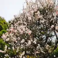 藥王寺(東京都)