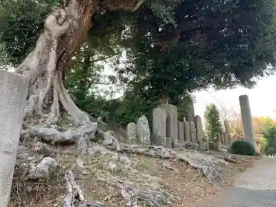 広福寺(千葉県)