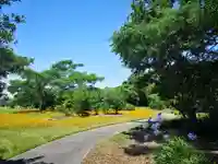 屏風ヶ浦 海岸寺/ 御盥山不動坊の周辺