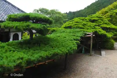 善峯寺(京都府)