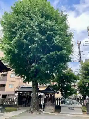 北野神社(東京都)