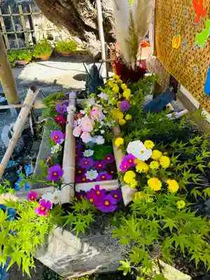 竹神社(三重県)