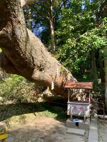 志波彦神社・鹽竈神社(宮城県)