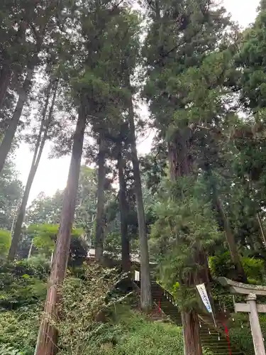大宮温泉神社(栃木県)