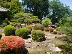 行基寺の庭園