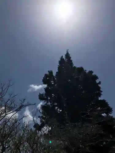 大山阿夫利神社本社の自然