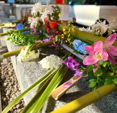 生田神社(兵庫県)