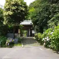 岩殿寺の山門