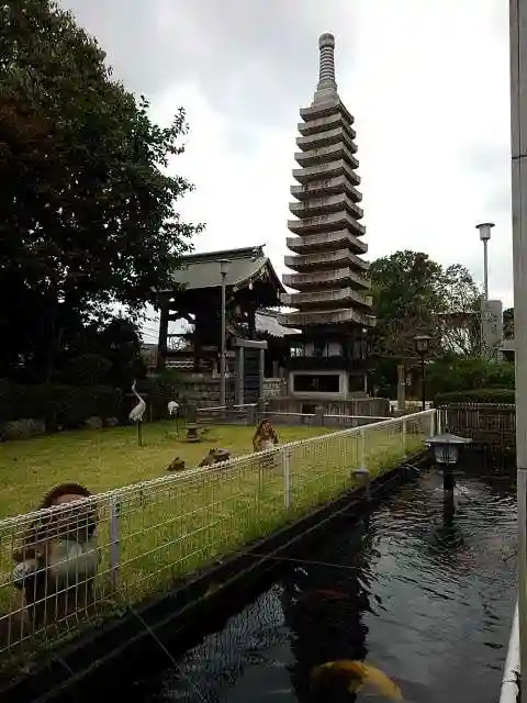 龍光寺の庭園
