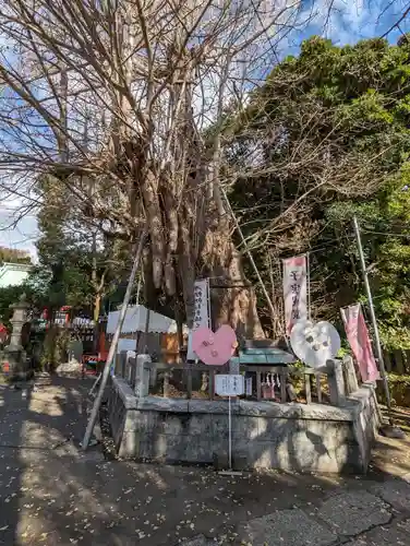 海南神社(神奈川県)
