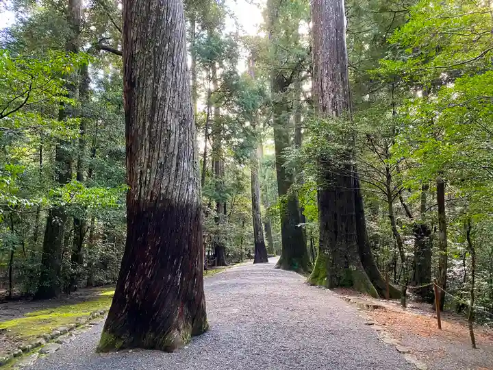 瀧原宮(皇大神宮別宮)の自然