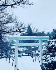 土津神社｜こどもと出世の神さまの鳥居