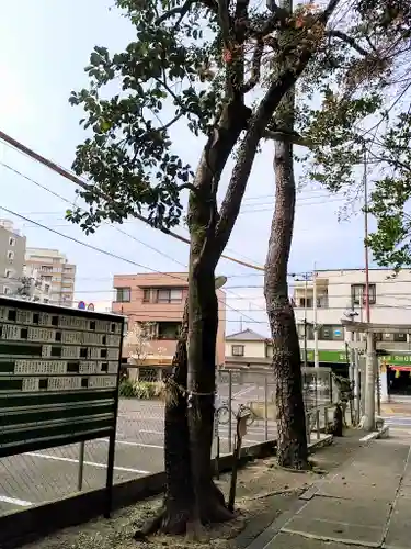 蝮ヶ池八幡宮の自然