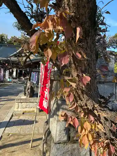 大生郷天満宮(茨城県)
