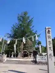 賀羅加波神社の建物その他