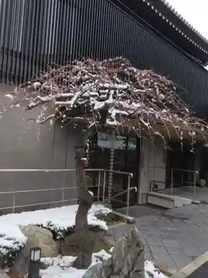 静翁寺(神奈川県)