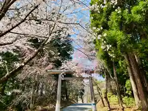 土津神社|こどもと出世の神さまの鳥居(2020年05月03日(日) 11時44分19秒投稿)
