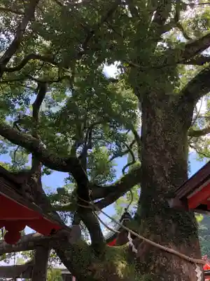 熊野那智大社(和歌山県)