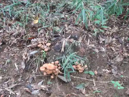 遍照寺(埼玉県)