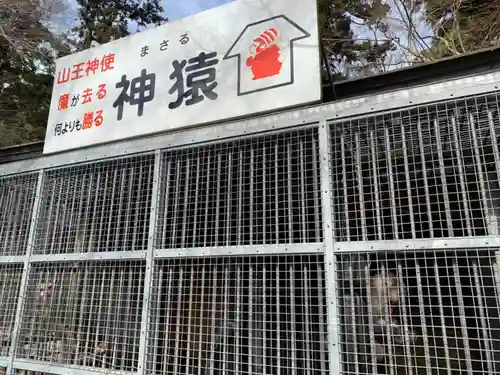 日吉大社(滋賀県)