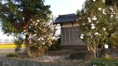 相野谷八幡神社(茨城県)