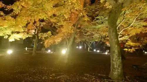 東福禅寺（東福寺）の{uncategorized: "未分類", other: "その他", undefined: "問題あり", building: "その他建物", grave: "お墓", sacred_gate: "鳥居", guardian: "狛犬", statue: "像", buddha: "仏像", history: "歴史", nature: "自然", garden: "庭園", animal: "動物", pagoda: "塔", temizu: "手水舎", mountain_gate: "山門・神門", sanctuary: "本殿・本堂", subordinate: "末社・摂社", art: "芸術", scenery: "景色", jizo: "地蔵", ema: "絵馬", goshuin: "御朱印", omikuji: "おみくじ", items: "授与品その他", amulet: "お守り", goshuincho: "御朱印帳", eats: "食事", festival: "お祭り", votive_dance: "神楽", shichigosan: "七五三参", wedding: "結婚式", experience: "体験その他", initially: "初詣", around: "周辺", anti_infection: "感染症対策"}