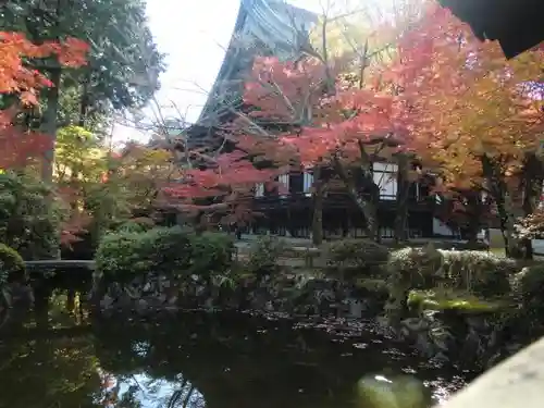 真正極楽寺（真如堂）の自然