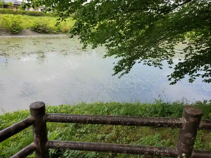 宇倍神社の自然