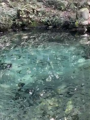 泉神社(茨城県)