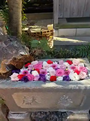 本郷氷川神社(東京都)