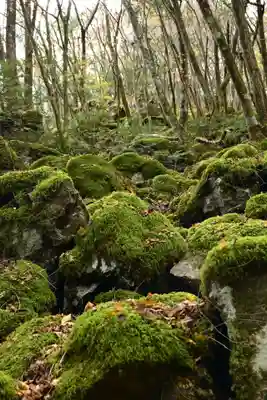 黒松寺(徳島県)