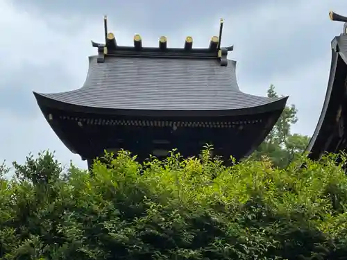 鷲宮神社の本殿