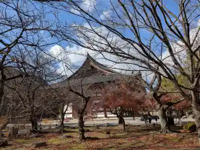 東寺（教王護国寺）(京都府)