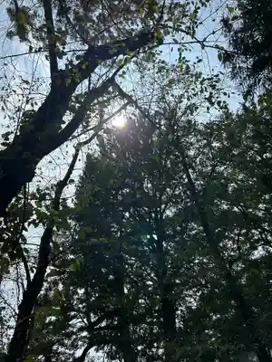 野木神社(栃木県)