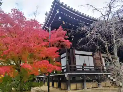 光明寺（粟生光明寺）(京都府)