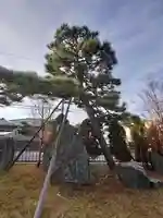 根岸弁財天(神奈川県)