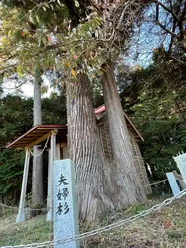 長久保温泉神社の自然