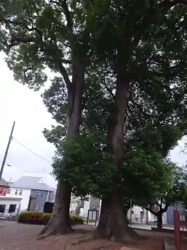 子之神神社の自然