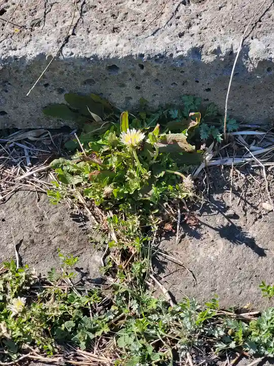 浅間神社(福居町)(栃木県)