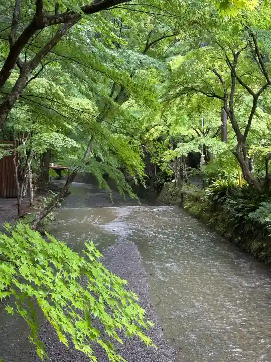 小國神社の{uncategorized: "未分類", other: "その他", undefined: "問題あり", building: "その他建物", grave: "お墓", sacred_gate: "鳥居", guardian: "狛犬", statue: "像", buddha: "仏像", history: "歴史", nature: "自然", garden: "庭園", animal: "動物", pagoda: "塔", temizu: "手水舎", mountain_gate: "山門・神門", sanctuary: "本殿・本堂", subordinate: "末社・摂社", art: "芸術", scenery: "景色", jizo: "地蔵", ema: "絵馬", goshuin: "御朱印", omikuji: "おみくじ", items: "授与品その他", amulet: "お守り", goshuincho: "御朱印帳", eats: "食事", festival: "お祭り", votive_dance: "神楽", shichigosan: "七五三参", wedding: "結婚式", experience: "体験その他", initially: "初詣", around: "周辺", anti_infection: "感染症対策"}