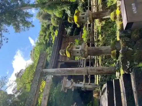 伊奈波神社(岐阜県)