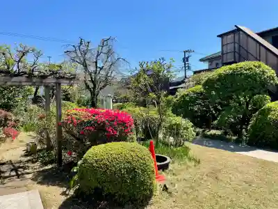 正法寺の{uncategorized: "未分類", other: "その他", undefined: "問題あり", building: "その他建物", grave: "お墓", sacred_gate: "鳥居", guardian: "狛犬", statue: "像", buddha: "仏像", history: "歴史", nature: "自然", garden: "庭園", animal: "動物", pagoda: "塔", temizu: "手水舎", mountain_gate: "山門・神門", sanctuary: "本殿・本堂", subordinate: "末社・摂社", art: "芸術", scenery: "景色", jizo: "地蔵", ema: "絵馬", goshuin: "御朱印", omikuji: "おみくじ", items: "授与品その他", amulet: "お守り", goshuincho: "御朱印帳", eats: "食事", festival: "お祭り", votive_dance: "神楽", shichigosan: "七五三参", wedding: "結婚式", experience: "体験その他", initially: "初詣", around: "周辺", anti_infection: "感染症対策"}