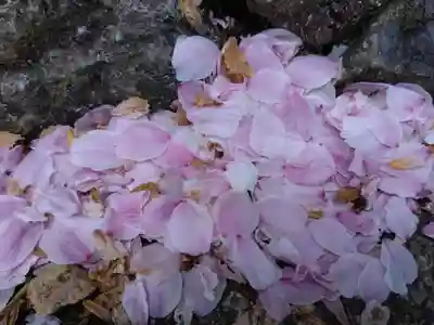 丸岡城八幡神社(福井県)