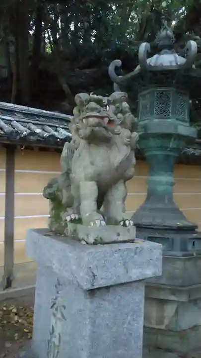 金刀比羅宮の狛犬